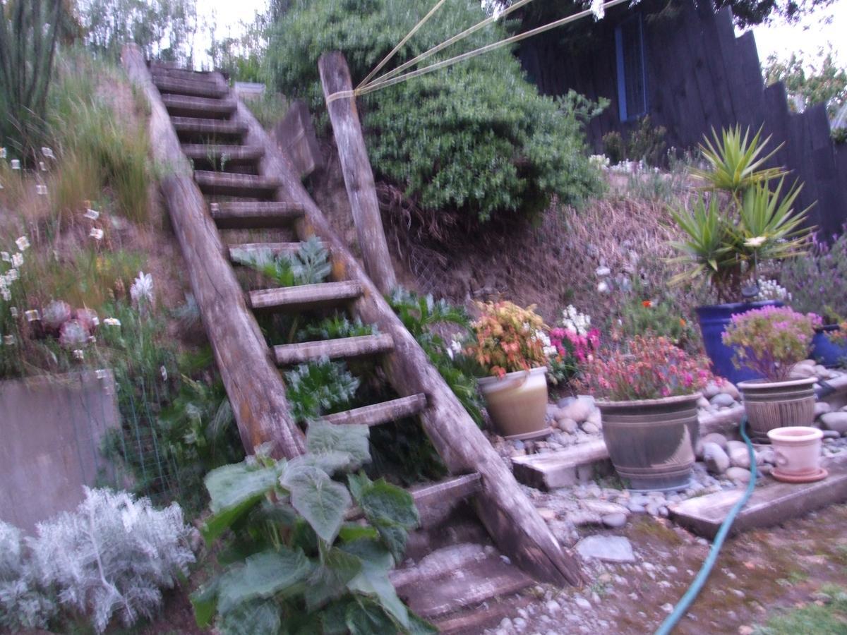 Annie'S Bnb At 7C Renwick Bagian luar foto
